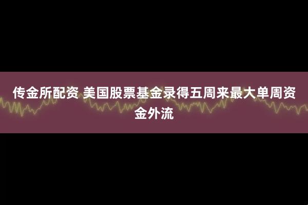 传金所配资 美国股票基金录得五周来最大单周资金外流