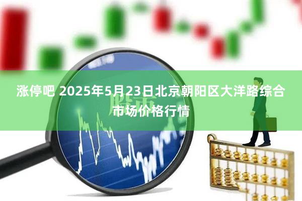 涨停吧 2025年5月23日北京朝阳区大洋路综合市场价格行情