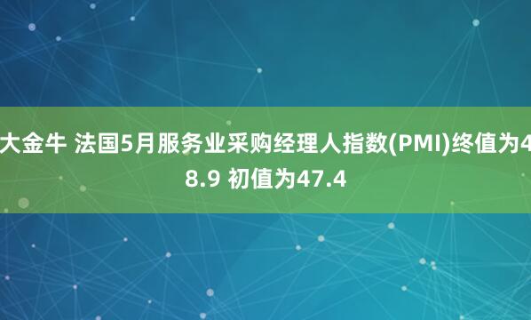 大金牛 法国5月服务业采购经理人指数(PMI)终值为48.9 初值为47.4