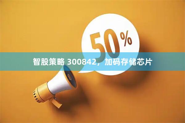 智股策略 300842，加码存储芯片